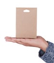 Hand holding blank carton box. Mockup for design Royalty Free Stock Photo