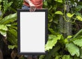 Hand Holding Blank Photo Frame for Design Mockup Template in the garden Royalty Free Stock Photo