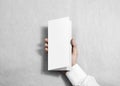 Hand holding blank white flyer brochure booklet in the hand. Royalty Free Stock Photo