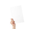 Hand holding a blank white sheet of A4 paper. Close up. Isolated