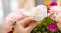 Hand holding a blooming white rose with blurred colorful mixed flowers bouquet background Royalty Free Stock Photo