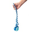 Hand holding a blue color dog rope. Royalty Free Stock Photo