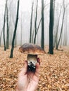 Hand holding boletus edulis mushroom in autumn woods. Picking mushrooms in forest. Delicious Porcini in hand on background of Royalty Free Stock Photo