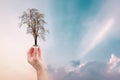 Hand holding a bottle cup plastic with dry tree leafless on sun set background.