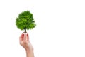 Hand holding a bottle cup plastic with dry tree leafless on white background.