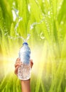 Hand holding a bottle of water Royalty Free Stock Photo