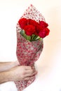 Hand holding bouquet of red roses over white background Royalty Free Stock Photo