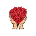 hand holding a bouquet of roses vector illustration