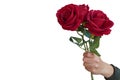 hand holding a bouquet of roses on white background, nature, love, valentine, fashion, gift, copy space