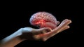 Hand holding brain with electrical signals Royalty Free Stock Photo
