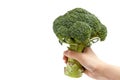 Hand holding broccoli on white background isolated Royalty Free Stock Photo
