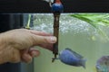 Hand holding broken aquarium heater