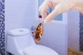 Hand holding brown cockroach on public toilet background, eliminate cockroach in toilet, Cockroaches as carriers of disease