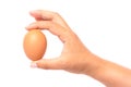 Hand holding a brown egg Royalty Free Stock Photo
