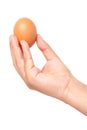 Hand holding a brown egg Royalty Free Stock Photo