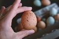 Hand holding brown speckled egg with carton in background