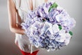 hand holding a bunch blue color hydrangea white background. bright colors. lavander cloud.