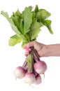 Hand holding a bunch of fresh turnips