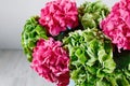 hand holding a bunch green and pink color hydrangea white background. bright colors. cloud. 50 shades Royalty Free Stock Photo