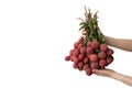 Hand holding a bunch of lychees on white isolate background Royalty Free Stock Photo