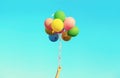 Hand holding bunch of multicolor balloons flying on blue sky background Royalty Free Stock Photo