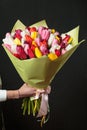Buquet of various tulips on the dark background