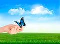 Hand holding a butterflies against a blue sky. Royalty Free Stock Photo