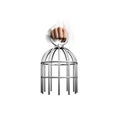 Hand holding the cage Royalty Free Stock Photo
