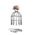 Hand holding the cage Royalty Free Stock Photo