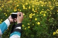 Hand holding a camera photographing the cosmos caudatus flower garden Royalty Free Stock Photo