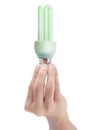 Hand holding CFL light bulb