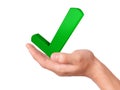 Hand holding check mark icon. success concept