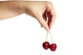 Hand holding cherries Royalty Free Stock Photo