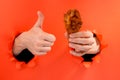 Hand holding a chicken drumstick Royalty Free Stock Photo