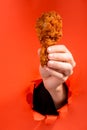 Hand holding a chicken drumstick Royalty Free Stock Photo
