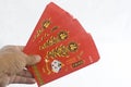 Hand holding a Chinese New Year Red Packet Royalty Free Stock Photo