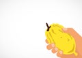 Hand holding a citron, Etrog in Hebrew.