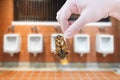 Hand holding cockroach on men`s room urinals discharge of waste from the body Royalty Free Stock Photo