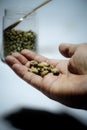 Hand holding coffee beans with jar of coffee beans and wooden spoon as abackground, studio shoot indoors day time. Royalty Free Stock Photo