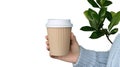 Hand Holding Coffee Cup on Transparent Background with Green Leaf Accent Royalty Free Stock Photo