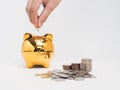 Hand holding coin into golden piggy bank with stack of coin Royalty Free Stock Photo