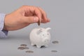 Hand holding coin. Piggy bank money savings concept