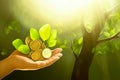 Hand holding coins and tree look like as planting on greenery background and sunlight for planting. Growth saving and investment