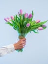 Hand holding a colorful bouquet of pink flowers offering a cheerful and joyous message