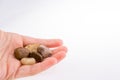 Hand holding colorful pebbles Royalty Free Stock Photo