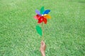 Hand holding colorful pinwheel in the garden Royalty Free Stock Photo