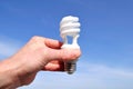 Hand Holding a Compact Fluorescent Light (CFL)