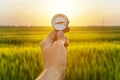 Hand holding compass and rice field sunset Royalty Free Stock Photo