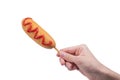 Hand holding corn dog isolated on white background Royalty Free Stock Photo