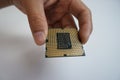 Hand holding CPU processor Royalty Free Stock Photo